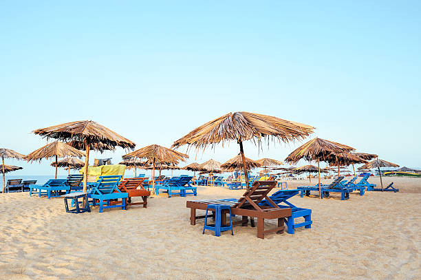 Best Dubai Tour